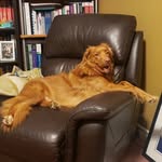 Bailey Dyck - @arci_and_dr_b - Instagram