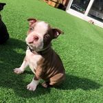 Bailey Dyson - @baileydyson82 - Instagram