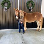 Bailey Dyson - Facebook