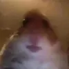 Bailey dyson 💖💖 - @baileydyson1 - TikTok