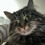 Bailey Early - @thecracksmith - Instagram