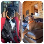 Donna Bailey Early - @drern53 - Instagram