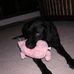 Bailey Eastman - Facebook
