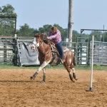 Bailey Eaton - @rockin_jbshowteam - Instagram