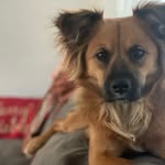 Bailey Echols - @bailey.billie.echols - Instagram