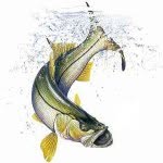 Bailey Eigbrett - @eastcoastfisherman - Instagram