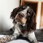 BAILEY BO - @baileybotheisen - Instagram