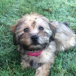 Bailey WIlliamson Elliott - @_bailey_elliott_ - Instagram