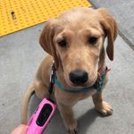 Bailey Erickson - @baileyboop_erickson - Instagram
