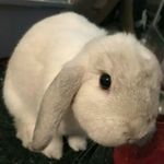 Bailey Ernst - @ernstbailey - Instagram