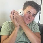 Bailey Harambe Dobrik Ernst - @david_spams__ - Instagram