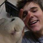 Bailey Harambe Dobrik Ernst - @baileydobrikernst - Instagram