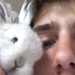 Bailey Harambe Dobrik Ernst - @baileythebunnyy - Instagram