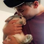 bailey the bunny - @baileyernst1 - Instagram