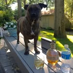Bailey - @baileyescobar - Instagram