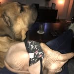 Bailey& Escobar - @escobarbailey - Instagram