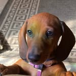 Bailey Estrada - @baileeey.es - Instagram