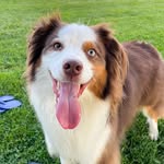 Bailey Nunez Estrada - @baileys_adventuretime - Instagram