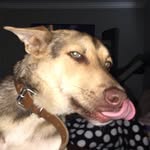 Baily Estrada - @bailey_estrada - Instagram