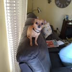 Everett Bailey - @everettbailey1238 - Instagram