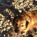 Bailey Ezell - Facebook