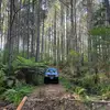 bailey.farley - @bailey.farley - TikTok