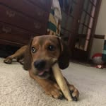 Bailey Farrell - @bailey_farrell0523 - Instagram