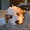 Bailey - @bailey.feist - TikTok