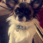 Bailey feist - @baileyfeist1206 - Instagram