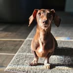 Bailey Feist - Facebook