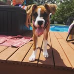 Bailey Ferraro - @crazybulletbailey - Instagram