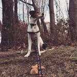 Bailey Ferraro - @xxiam2facex - Instagram