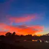 Bailey Ferraro - @bailey.ferraro - TikTok
