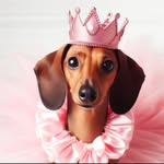 Bailey fields - @mini_princess_bailey - Instagram