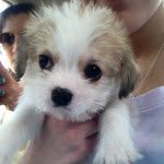 baileyfishman - @baileyfishman - Instagram
