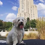 Bailey Fitz - @bailey_fitz11 - Instagram