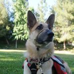 Bailey Fitzpatrick Animal Education - Facebook