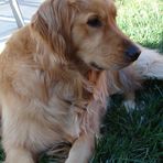 Bailey Flaherty - Facebook