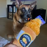 Bailey Flores - @baileybuttadventures - Instagram