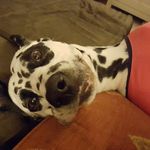 Sarah Bailey Flowers - @sarah_bailey_flowers - Instagram