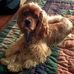 Bailey Folk - Facebook