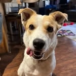 Bailey - @baileyfordemocracy - Instagram