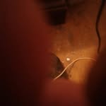 Forrest Bailey - @forrestbailey - Instagram