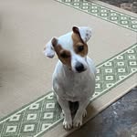 Bailey - @bailey._forrester - Instagram