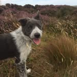 Bailey Forrester - @baileys_dailey.adventures - Instagram
