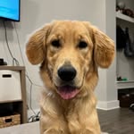 Bailey Francis - @baileyinyourcoffee - Instagram