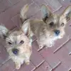 franklin_bailey - @franklin_bailey - TikTok
