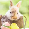 bailey frederickson - @bailey.fredericks - TikTok