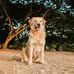 Bailey Freeman - Facebook
