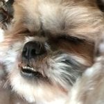 Bailey Freeman - @baileyf2004 - Instagram